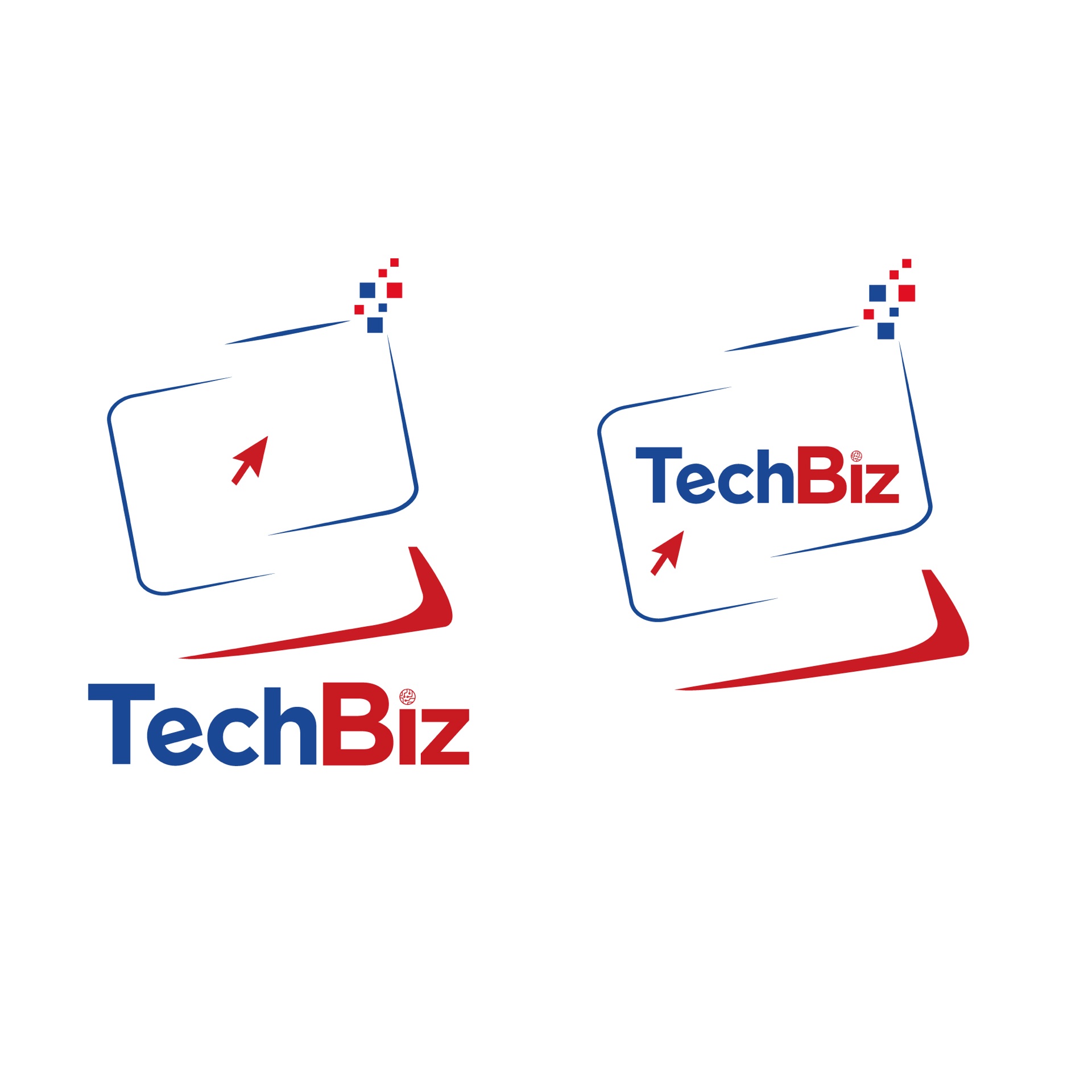 TechBiz — Déclinaison 1