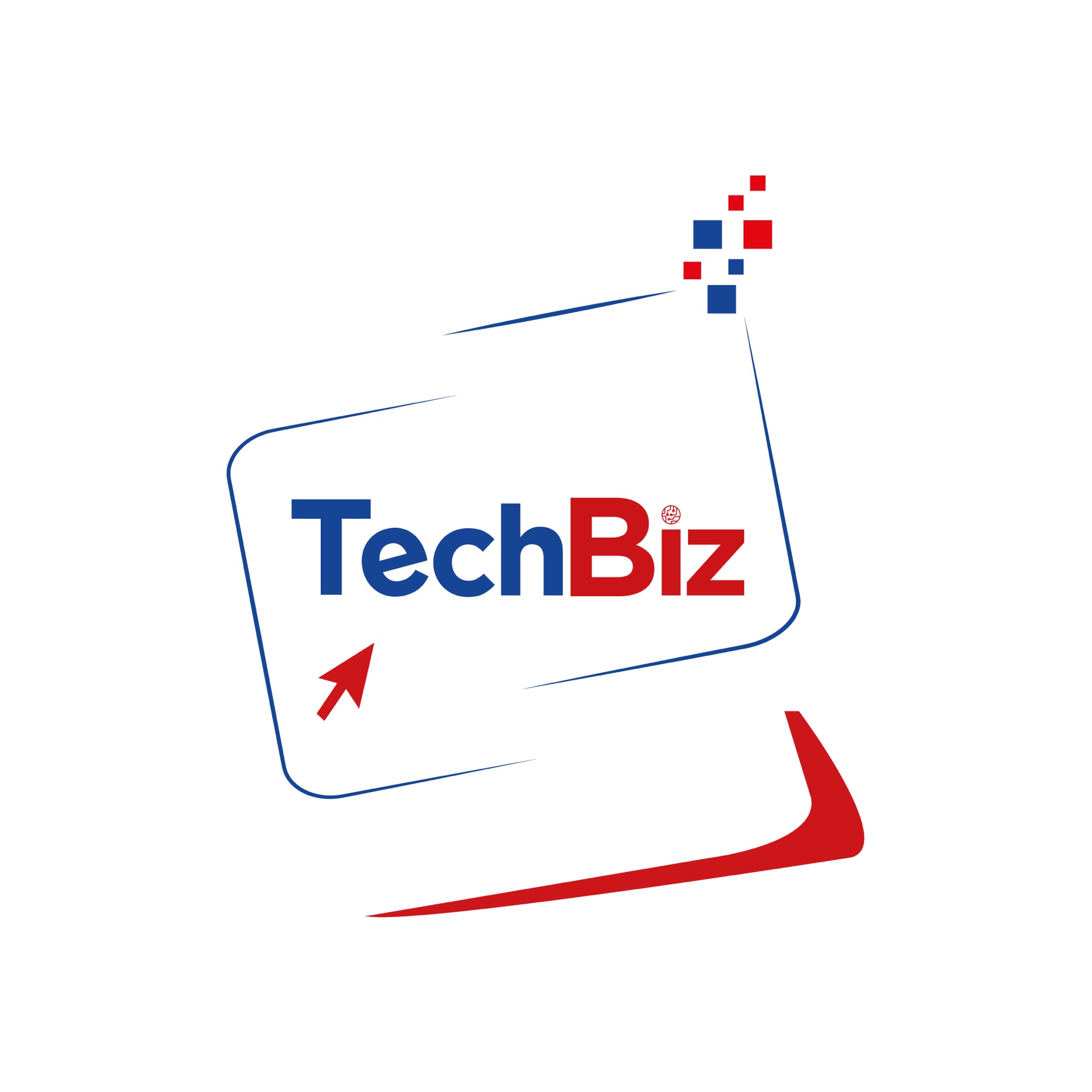TechBiz — Déclinaison 2